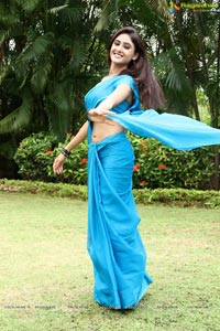 Sony Charishta in Saree