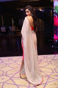 Rashmi Gautam in Saree