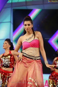 Hamsa Nandini