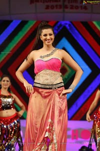 Hamsa Nandini