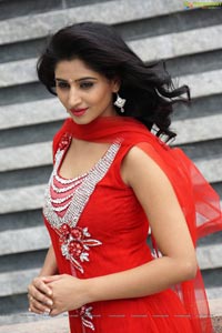 Shamili Sounderajan