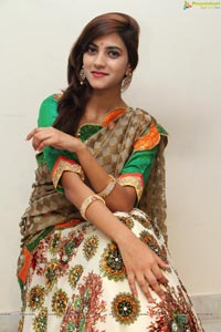 Sita Narayan