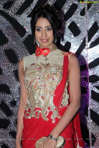 Sanjjanaa in Saree