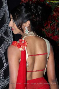 Sanjjanaa in Saree