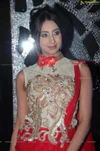 Sanjjanaa in Saree