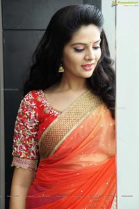 Sree Mukhi in Saree