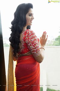 Sree Mukhi in Saree