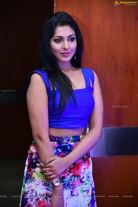 Madhu Shalini