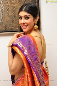 Aditi Singh