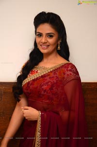 Sree Mukhi Saree