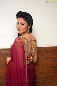 Sree Mukhi Saree