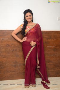 Sree Mukhi Saree