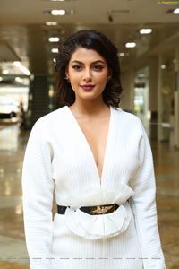 Anisha Ambrose