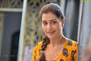 Payal Rajput RX 100