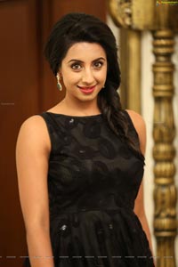 Heroine Sanjjanaa Galrani