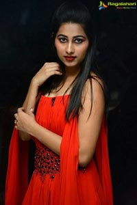 Priya Hegde