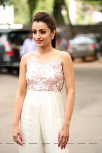 Trisha Krishnan