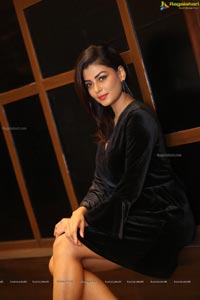 Anisha Ambrose