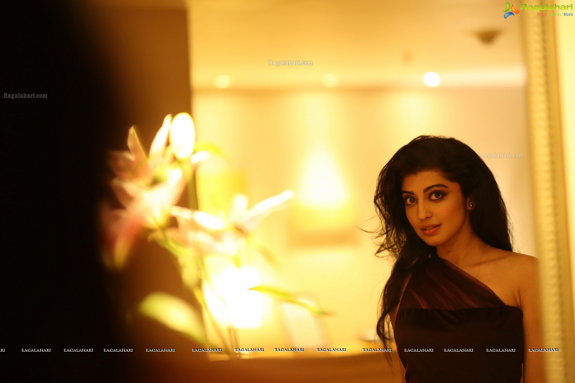 Pranitha Subhash (High Definition Photos)