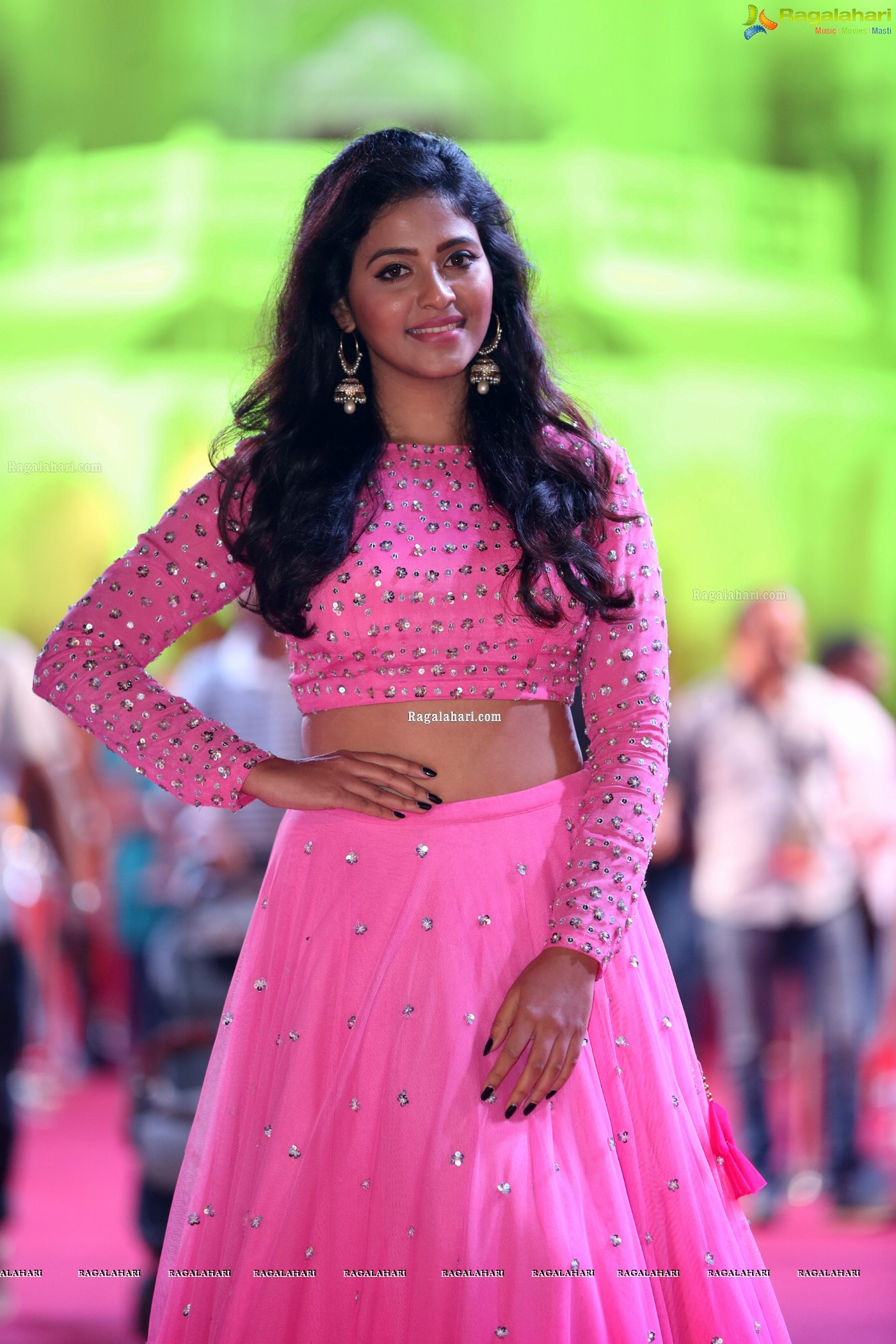 Anjali at SIIMA 2018 (Hi-Resolution Photos)