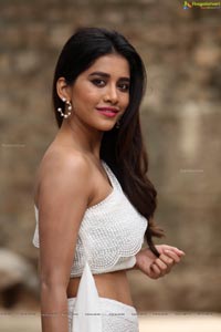 Nabha Natesh