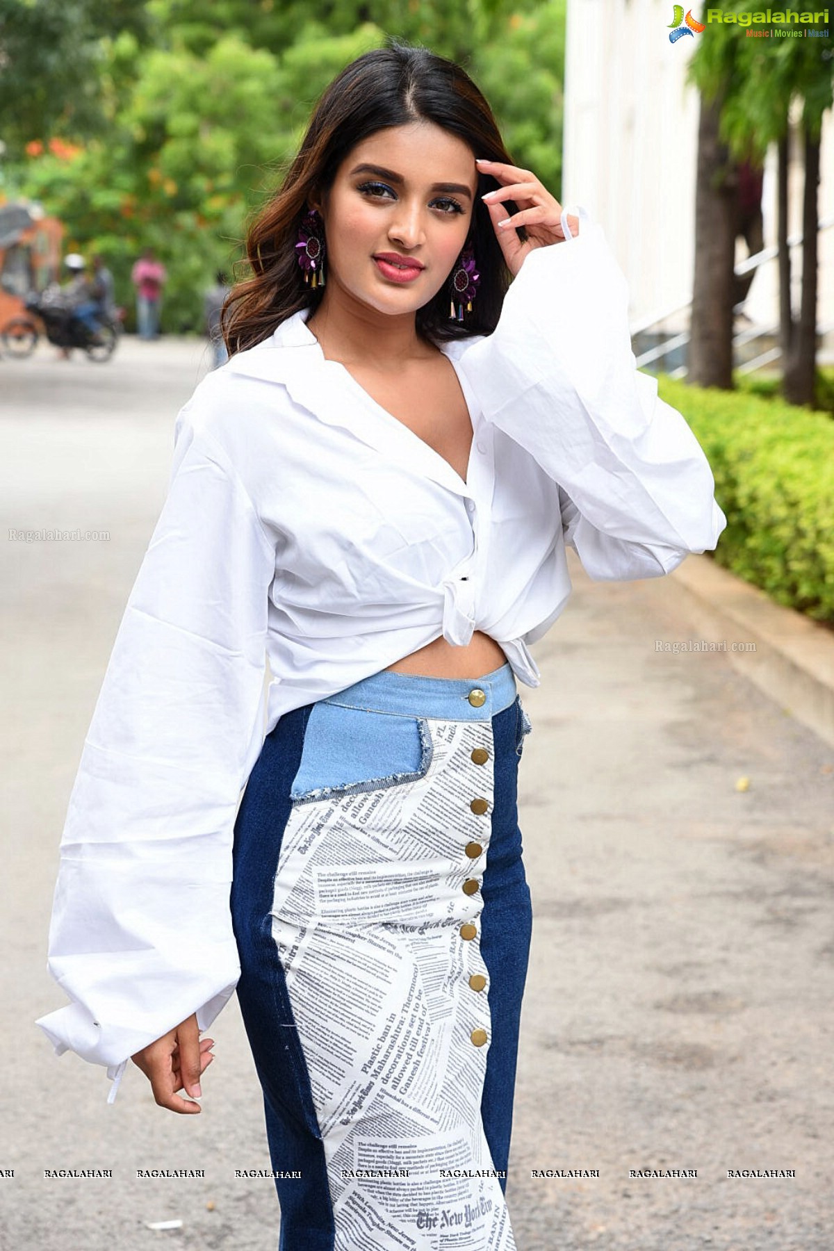 Nidhhi Agerwal iSmart Shankar Success Meet