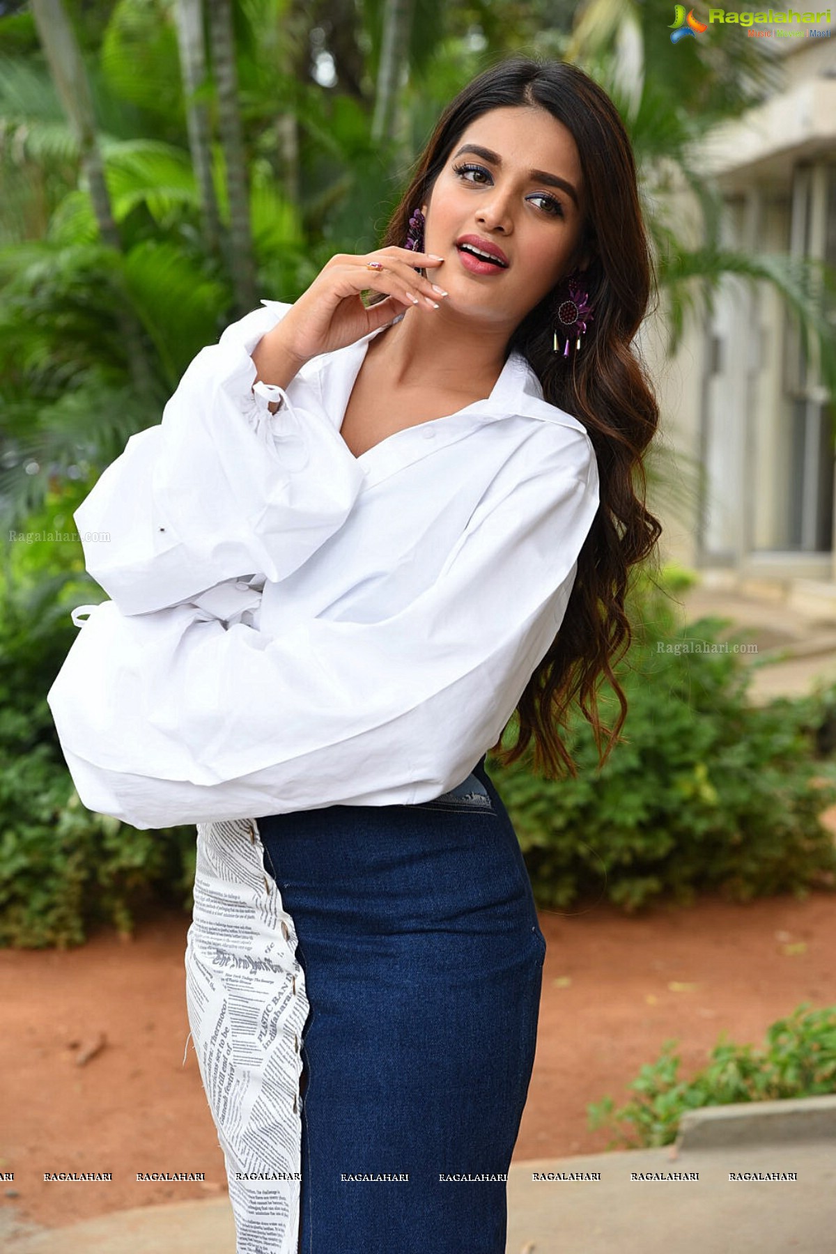 Nidhhi Agerwal iSmart Shankar Success Meet