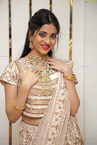 Dimple Thakur Poses With Jewellery