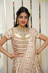 Dimple Thakur Poses With Jewellery