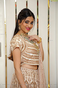 Dimple Thakur Poses With Jewellery