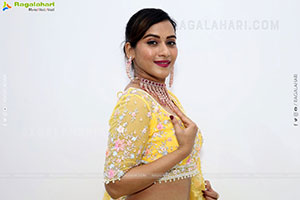 Preethi Singh Latest Stills, HD Photo Gallery