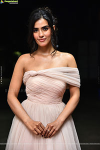 Kavya Thapar at Nenu Ready Movie Title Glimpse Launch