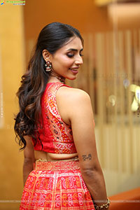 Sapthami Gowda at Thammudu Trailer Launch, HD Gallery 