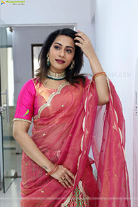 Preethi Singh Glam stills in Half Saree, HD Gallery