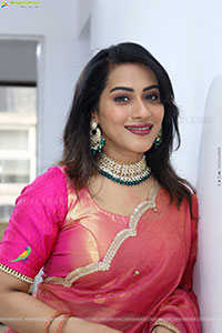 Preethi Singh Glam stills in Half Saree, HD Gallery