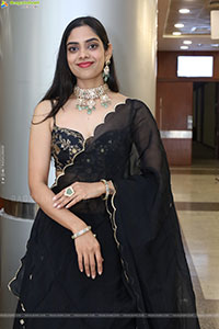 Swetha Kanduri stills in Black Designer Dress, HD Gallery