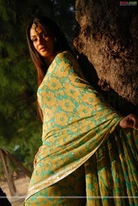 Sexy Simran Photo Gallery/Wallpapers
