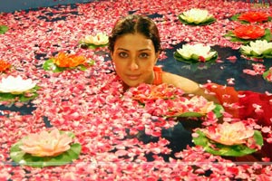 Tabu Photo Gallery from Pandurangadu