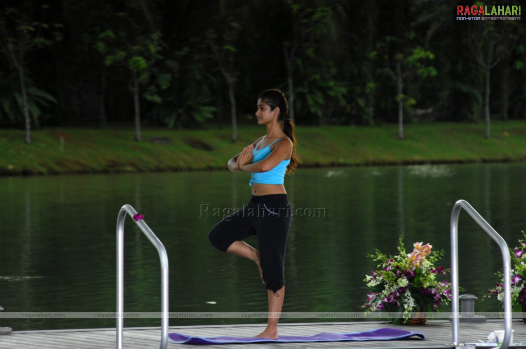 Ileana d cruz Full HD Yoga Stills from Kick Movie