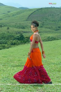 Lakshmi Rai SPicy Photos