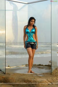 Shriya Photo Gallery