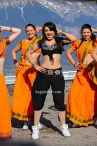 Hansika Motwani Photo Gallery