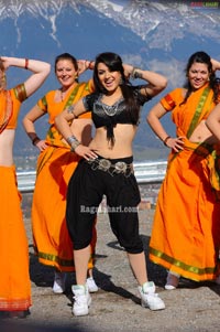 Hansika Motwani Photo Gallery