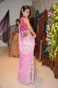 Hyderabadi Model Sadhana Photo Gallery