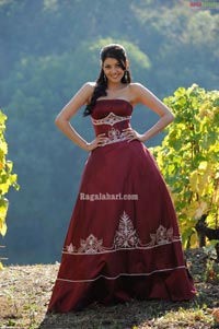 Kajal Photo Gallery from Darling