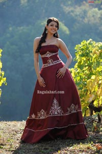 Kajal Photo Gallery from Darling