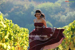 Kajal Photo Gallery from Darling