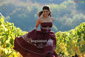 Kajal Photo Gallery from Darling