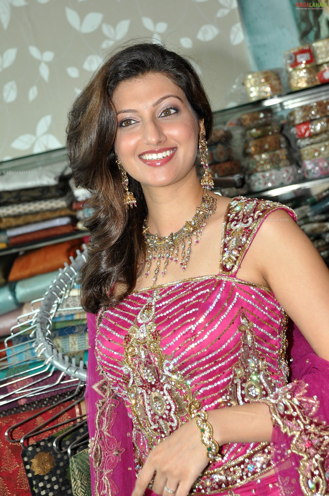 Hamsa Nandini (Posters)