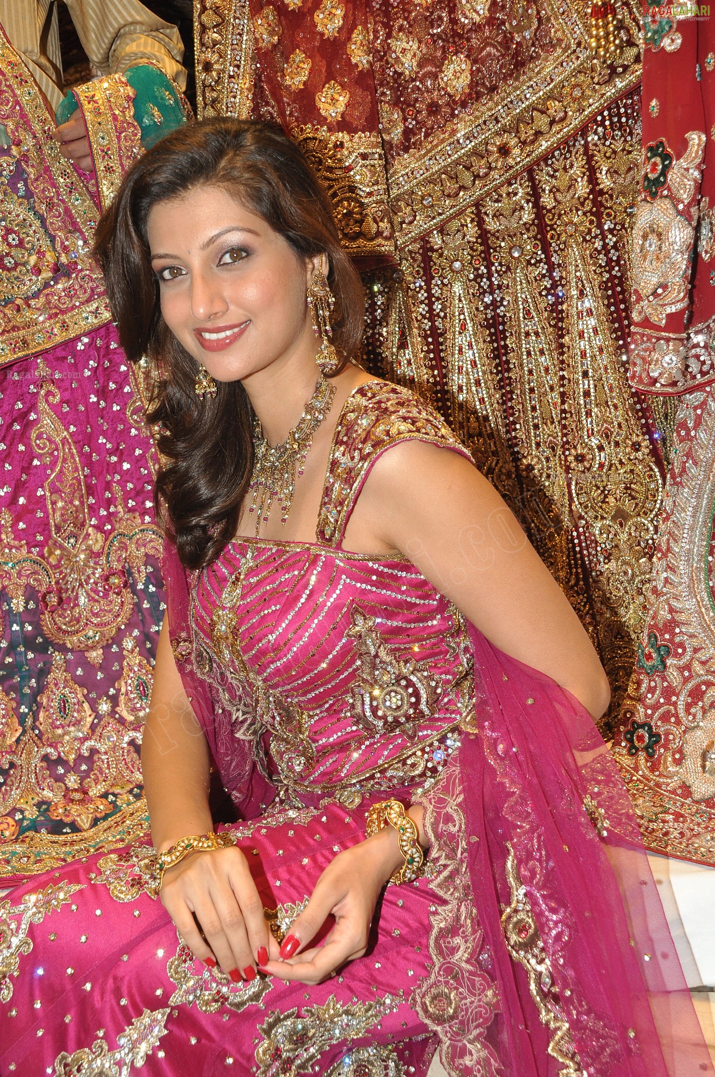 Hamsa Nandini (Posters)